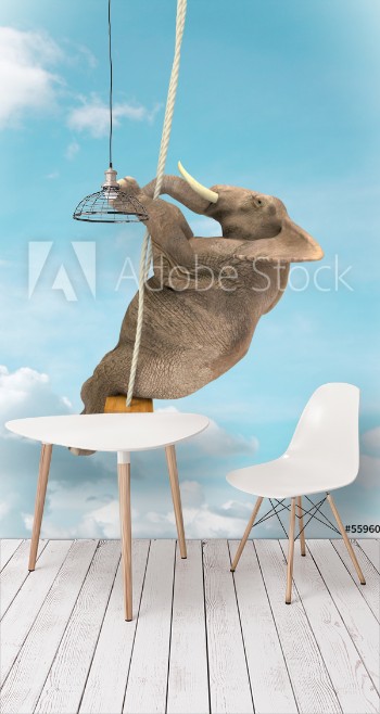 Picture of Elefante en un columpio